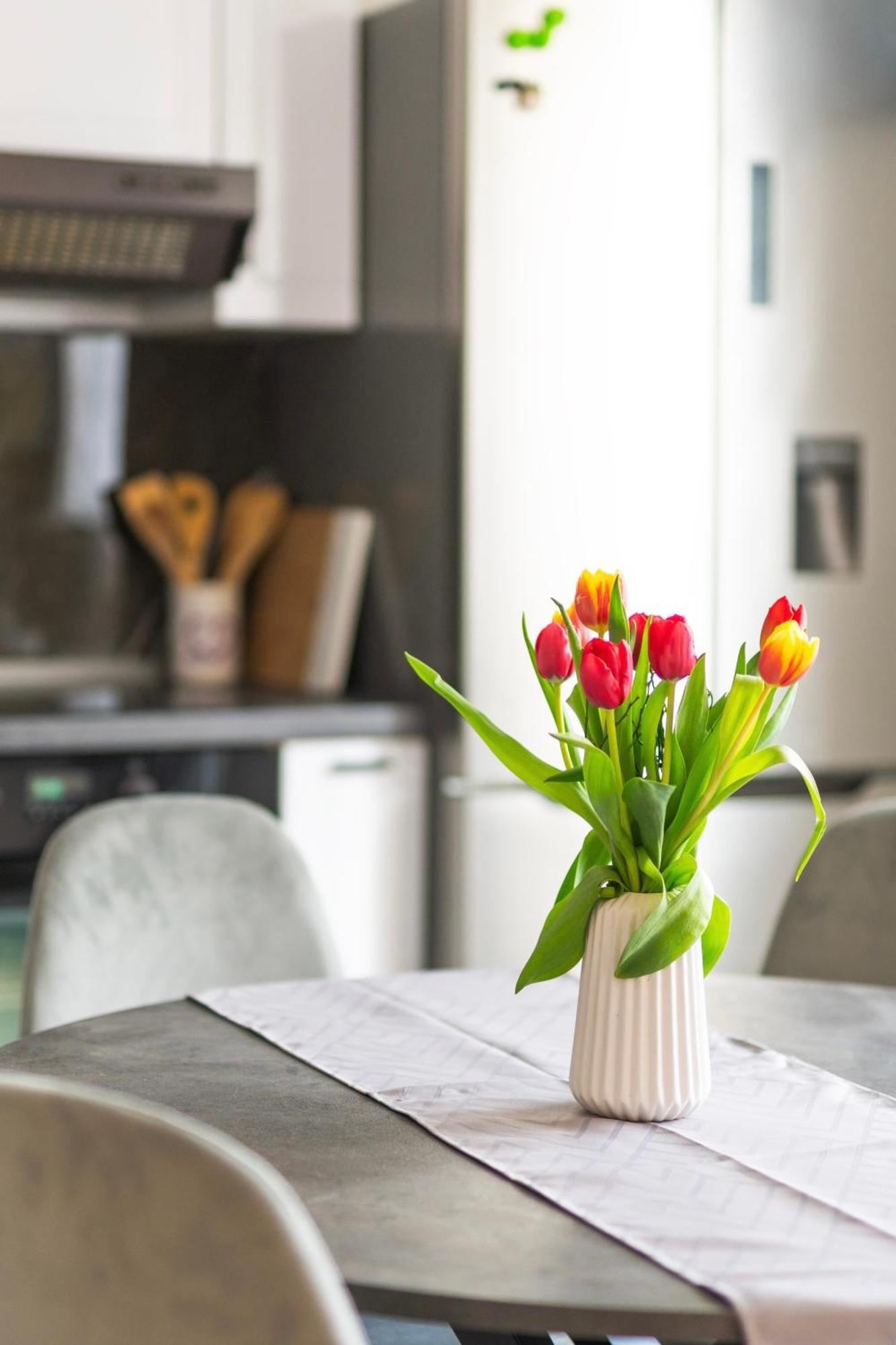 Apartment Vita Ізола Екстер'єр фото